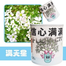 �����޾W�tף�����ԾGֲ���ѷN�ӹ��^ֲ�����愓��YƷ�_������