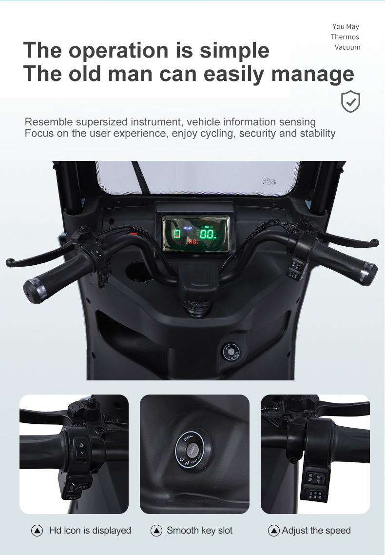 Home Electric Tricycle 800W