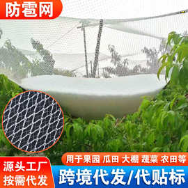防雹网 果园月牙防雹网农田苹果葡萄防冰雹网花圃白色菱形防护网