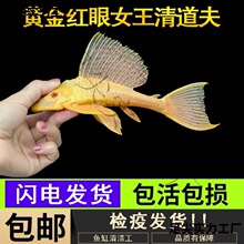 �S��t��Ů��������Ů�ʻ��w����С�����������~�ןᎧ�^�p�~