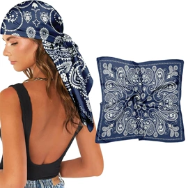 丝巾;围巾;披肩