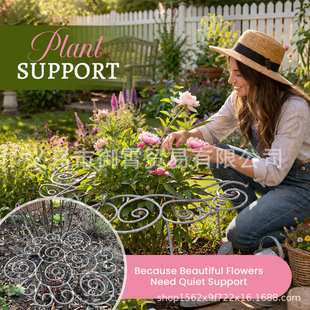 �羳��ƷMetal plant support frame����ֲ��֧��֧��