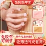 专业儿童成人演奏琵琶