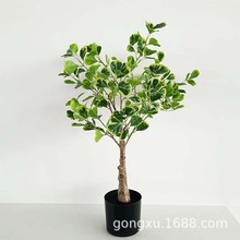 ����Gֲ�����Ř������҃�����b٘��辰�W�t�����Ř�������