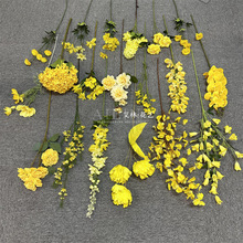 �Sɫ���Ļ�c��ˇ���滨�b�Y���տ��������Z�S�����S�Ҿ�ܛ�b