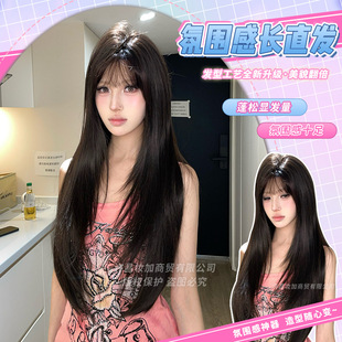 Makeup and Wig for Women with Long Hair, Black Tea Color, Long Straight Hair, Round Face, Lolita Natural Full Headgear, Black Long Straight Wig