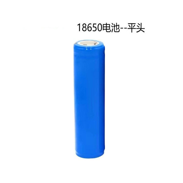Universal smart charger