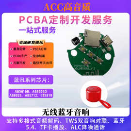 大小功率5W10W20W30W50W蓝牙音箱功放板方案开发服务