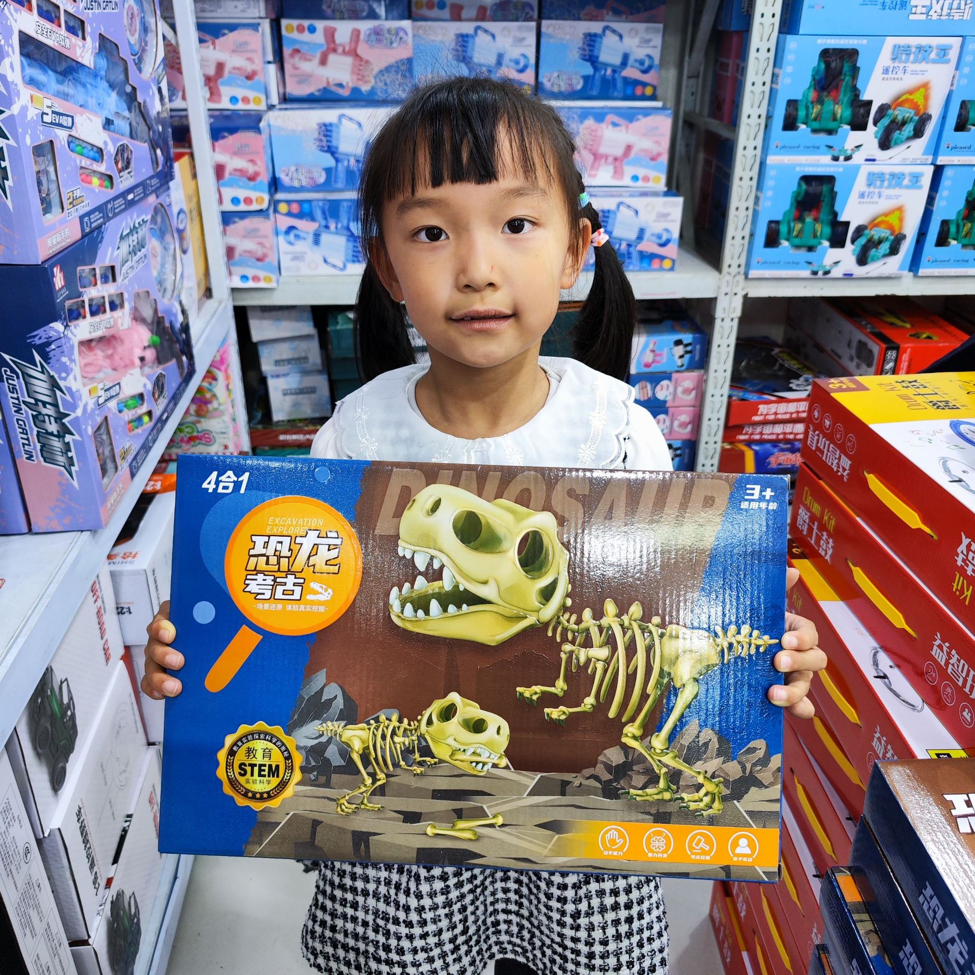 공룡 고고학 (무료 배송 없음)