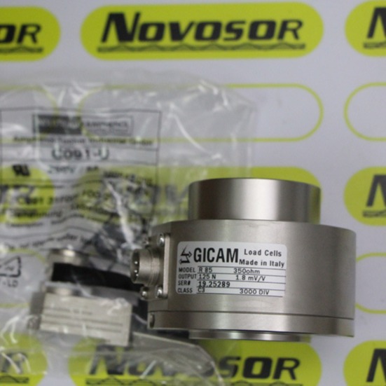 GICAM R85 350OHM 125N  19.25289编码器咨询后下单