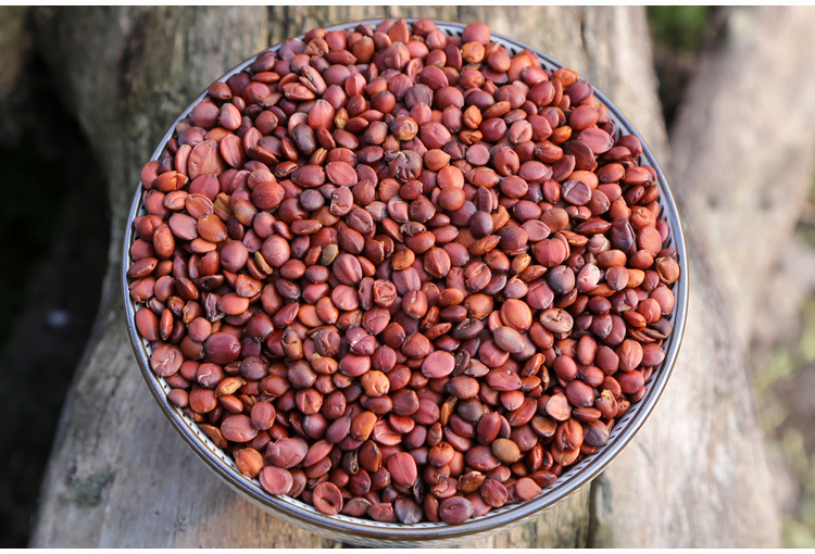 Sour Jujube Seed Suan Zao Ren 250g Dried Ziziphus Seeds for Herbal Tea and Decoction specifications