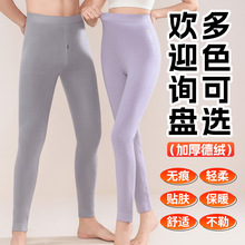 商超同款保暖裤加厚德绒打底裤男女情侣学生内穿无痕线裤厂家批发