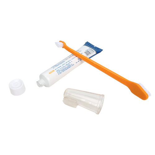 Pet Toothbrush Toothpaste Cat and Dog Toothpaste Set Dog and Cat Oral Care Toothbrush Pet Supplies Factory Direct Sales