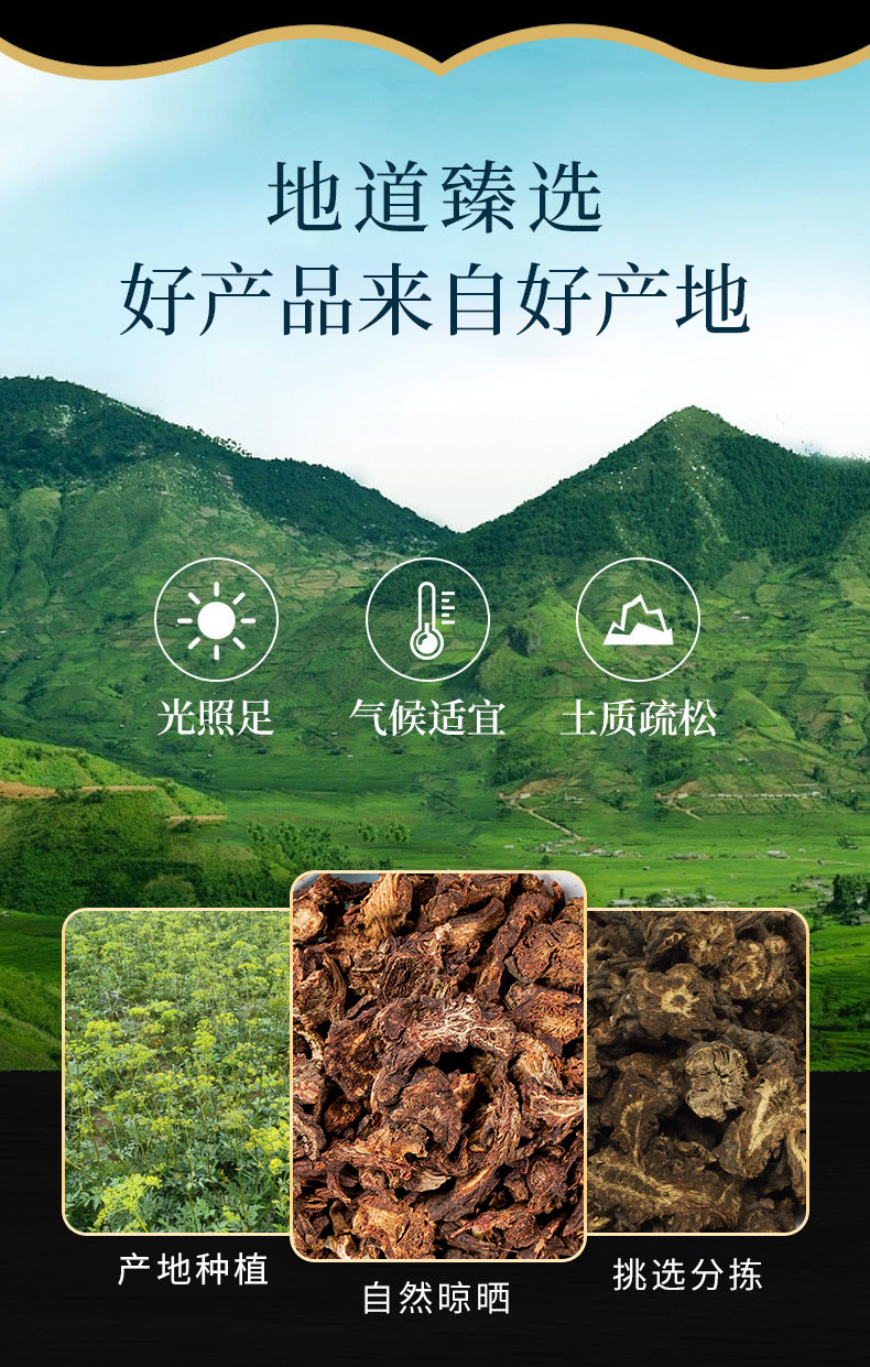 Qiang Huo Powder (Notopterygium incisum) — Dried Food Herb for Wind-Damp Support overview