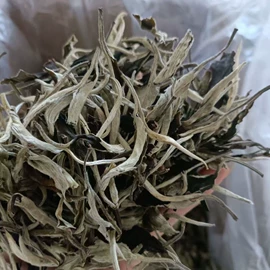 普洱茶;红茶;白茶