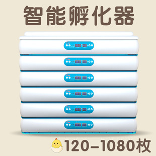 �羳ȫ�ԄӴ��͹��I�Bֳ�����CС�u���ܷ��������÷������O��Cе