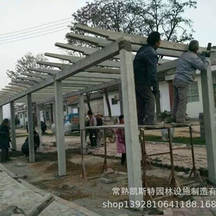 �S�ҹ�����ľ�y������ͤ��Ϣ��Ʒ�������L�ț�ͤˮ���ľ�y