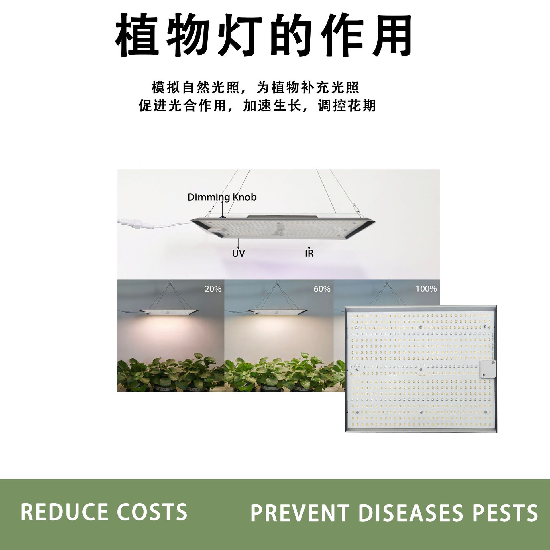 ledֲ ֲ̫ﲹƼôﻨ