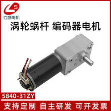 编码器5840-31ZY微型直流减速电机钢齿轮 蜗杆调速慢速马达12V24V