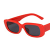 Square sunglasses, small glasses, 2022, European style, simple and elegant design, punk style