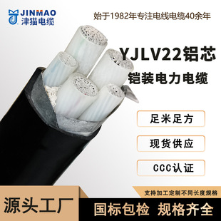 ���С؈YJLV22��|�Xо���z���������|34о10-300ƽ���S��ֱ�N