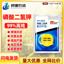 99%�������⛻����߲˼Zʳ�������籣���������a�~��ʷ����Z�S