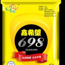 玉米良种 批发鑫希望698玉米杂交种 玉米种子