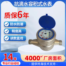 �ɶ���Ӌ����ݼ���ˮˮ�����P䓃x�� DN15����ˮ�ݷeʽ����ˮ��