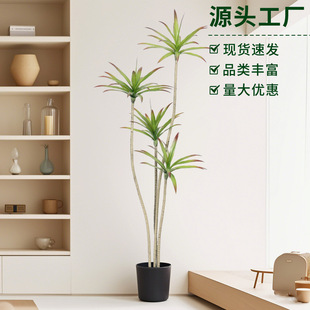 ���Sֱ�N���������m��Ѫ������쾰����Gֲ�����b�ɳ��ֲ�����l