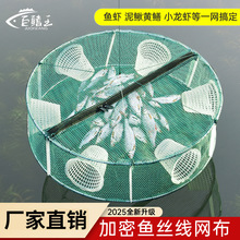 鱼虾笼捕虾网捕鱼网鱼笼捕小鱼泥鳅黄鳝螃蟹笼只进不出渔网笼批发