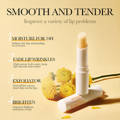 International Foreign Trade BIOAOUA Vitamin E Honey Lip Moisturizer Hydrating Moisturizing Smoothing Lip Lines Preventing Dry Cracks Wholesale