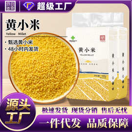 【源头工厂】黄小米一件代发5斤真空多规格可定制新老包装随机发