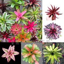 �д��ͷeˮ�P�漧�P�����B����ֲ��ˮꑸ��쾰����ֲ��ͥԺ���ܲ�