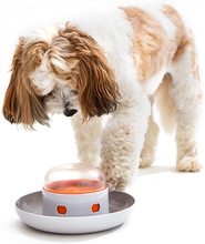 狗狗按压漏食器宠物自动喂食器缓食慢食器趣味漏食宠物漏食器