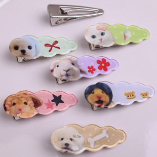 �ɐ�С����������c�l���^l�A��l�����A���Կɐۂ�߅�A���l