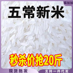 五常大米10斤20农家厂家直销批发