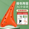 12 holes orange