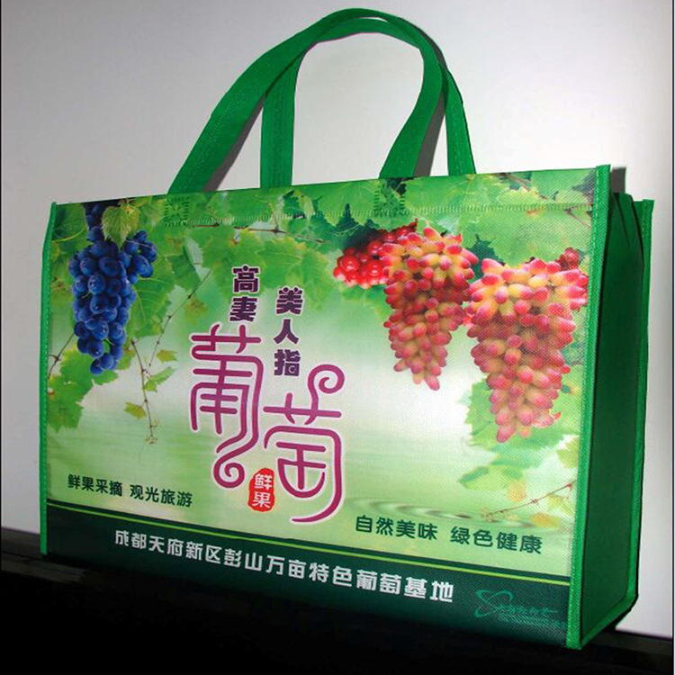 专业包装纸袋无纺手提袋服装袋子外卖打包袋彩色印LOGO汕头印刷厂