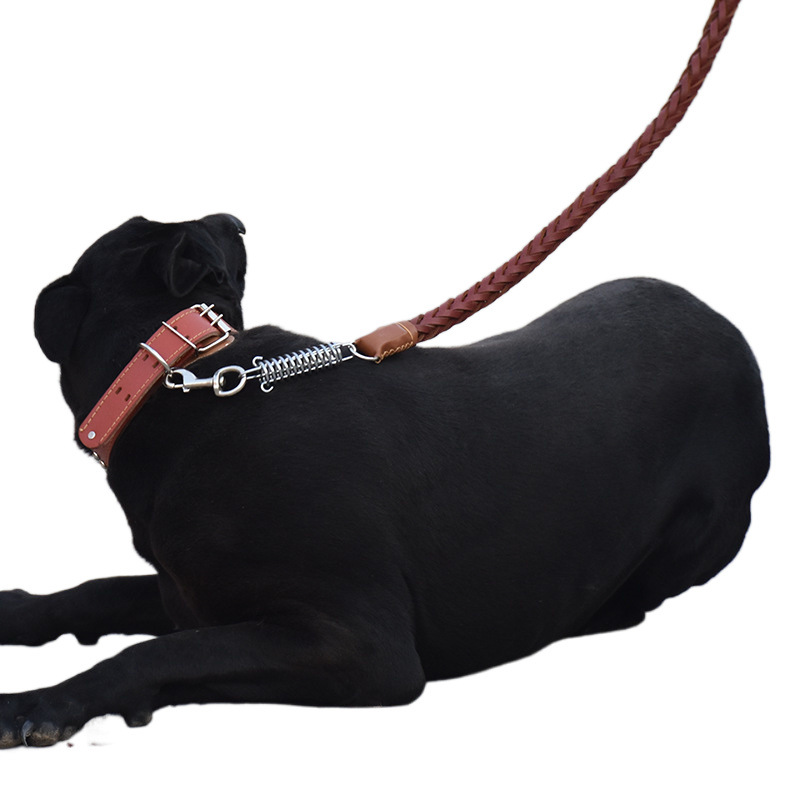 Medium -sized large dog dog traction cowhide dog chain Golden…