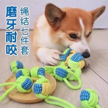 宠物狗狗互动玩具磨牙棒耐咬泰迪比熊幼犬绳结玩具中小型犬狗