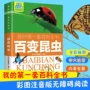 无障碍百变阅读彩图书籍