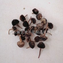 ���ľոɻ��^�M�ϻ���о�S�����l���ľ� DIY�ɻ��o�ϽM�ϻ�����