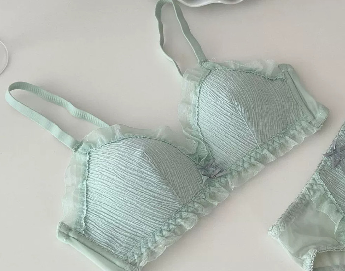 Venta directa de fábrica Comercio electrónico transfronterizo Sudeste de Asia Vietnam Tailandia Ladies French Triangle Cup Reunir Cómodo sujetador