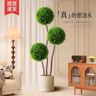 ����Gֲ����ֲ������҃����ο͏d�����b[���ٻ����滨�辰