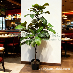 �������m����Ƥ���Ӣ��͏d������Է��b�ꙻ���Gɫ��ֲ�����~��