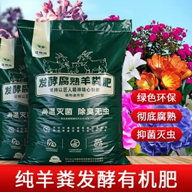 饰品配件;发光玩具;饰品展示架