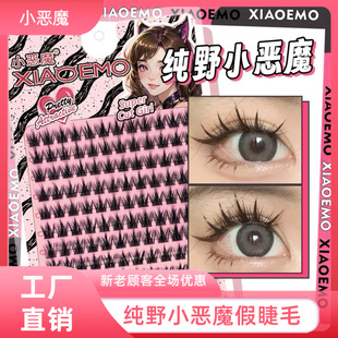 Little Devil False Eyelashes 10 Rows Large Capacity Pure Wild Little Devil False Eyelashes Thick Photogenic Style Lazy Trilogy Women