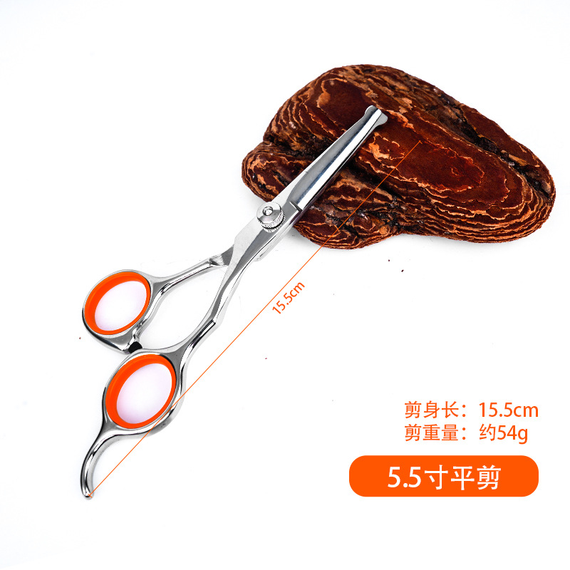 Tijeras de mascotas profesionales, tijeras de dientes, tijeras de perros