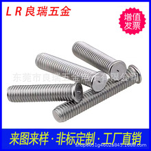 304���P� ����A�^늺��C�ݽz �����ݽz���� ֲ����ᔷN���C�ݽz