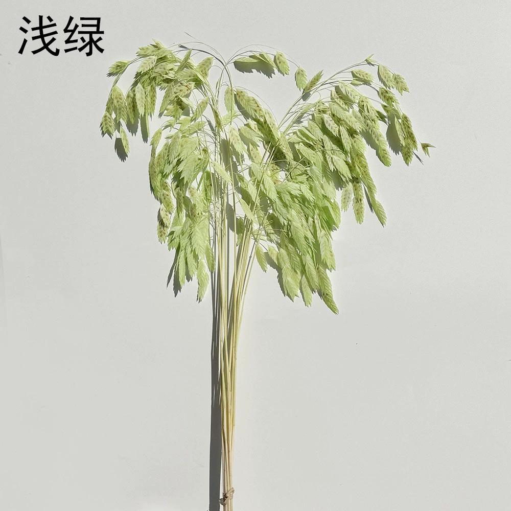 Сохранённые вечные цветочные стебли Xiao Pianwang Cao, цветочная сушёная букетная композиция, 10 шт, 30–60 см